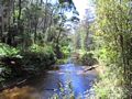 Don River at the Tasmanian Arboretum, Eugenana, Tasmania, Australia