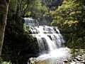 Liffey Falls, Liffey, Tasmania, Australia